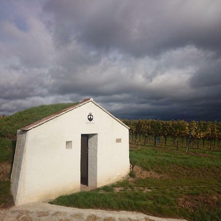 LeodaggerWeingut Wagnerアパートメント エクステリア 写真