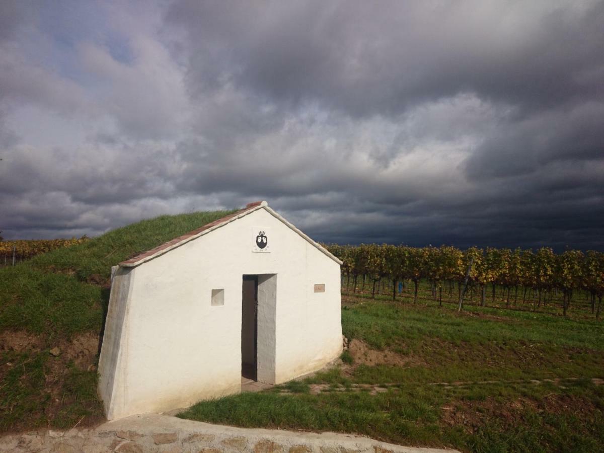 LeodaggerWeingut Wagnerアパートメント エクステリア 写真